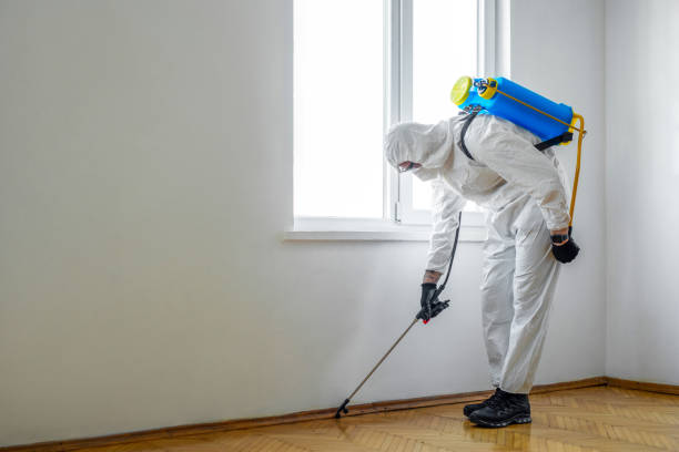 Best Bed Bug Extermination  in Nashua, NH